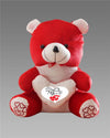 Love Quote Soft Teddy – Cute & Cuddly Gift for Someone Special - IG Store