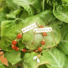Bhaiya Bhabhi Rudraksha Rakhi Combo – Personalized Name Rakhi Set - IG Store
