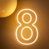 1-9 Neon LED Number Lights (12 Inch) | Happy Birthday Decoration Light | Party, Wedding & Room Decor Neon Sign