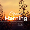 50+ Sunday Good Morning Wishes to Brighten Someone’s Day - IG Store