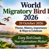 World Migratory Bird Day 2026 10 October Every Bird Counts Your Observations Matter