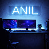 Neon sign with 'ANIL' above a computer setup in a dark room

