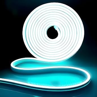 Flexible Neon LED Strip Light | Waterproof DIY Neon Sign Light | 12V Silicone LED Strip for Home & Shop Decoration