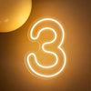 1-9 Neon LED Number Lights (12 Inch) | Happy Birthday Decoration Light | Party, Wedding & Room Decor Neon Sign