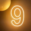 1-9 Neon LED Number Lights (12 Inch) | Happy Birthday Decoration Light | Party, Wedding & Room Decor Neon Sign